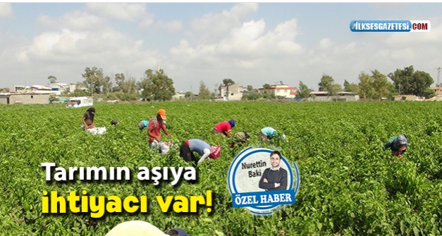 İLKSES GAZETESİ: TARIMIN AŞIYA İHTİYACI VAR!- 17 OCAK 2021
