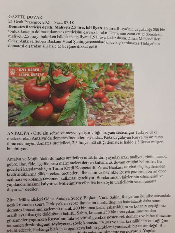 GAZETE DUVAR: DOMATES ÜRETİCİSİ DERTLİ- 21 OCAK 2021