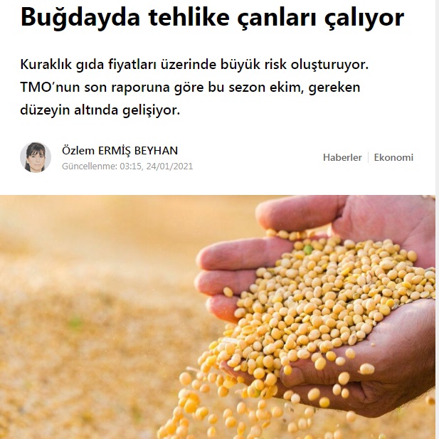 SÖZCÜ GAZETESİ: BUĞDAYDA TEHLİKE ÇANLARI ÇALIYOR- 24 OCAK 2021
