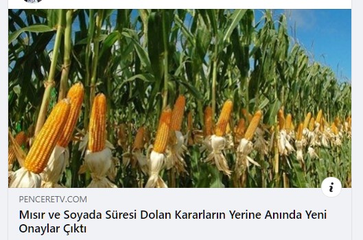 PENCERE TV: MISIR VE SOYADA SÜRESİ DOLAN KARARLARIN YERİNE ANINDA YENİ ONAYLAR ÇIKTI- 28 ŞUBAT 2021