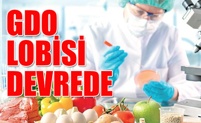 KRTTV.COM: İKTİDAR KRİZİ GİZLEMEK İÇİN İÇİN GDO`YA SIĞINDI- 28 ŞUBAT 2021