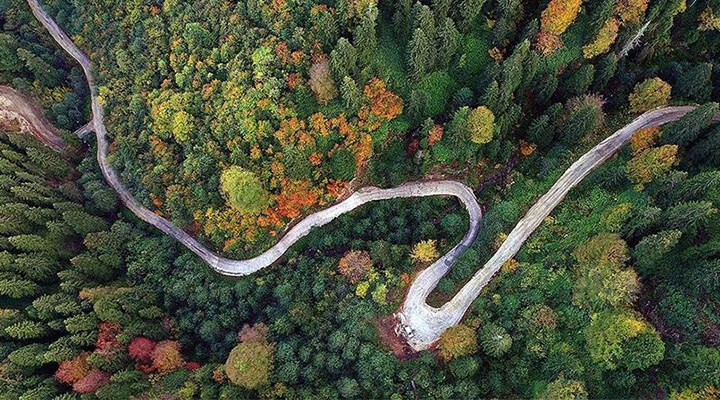 ORMAN, ORMAN ENDÜSTRİ VE AĞAÇ İŞLERİ ENDÜSTRİ MÜHENDİSLERİ İLE SERBEST MESLEK BÜROLARININ ÇALIŞMA ALANLARINA DAİR YÖNETMELİKTE DEĞİŞİKLİK YAPILMASINA DAİR YÖNETMELİK" HAKKINDA GÖRÜŞÜMÜZ