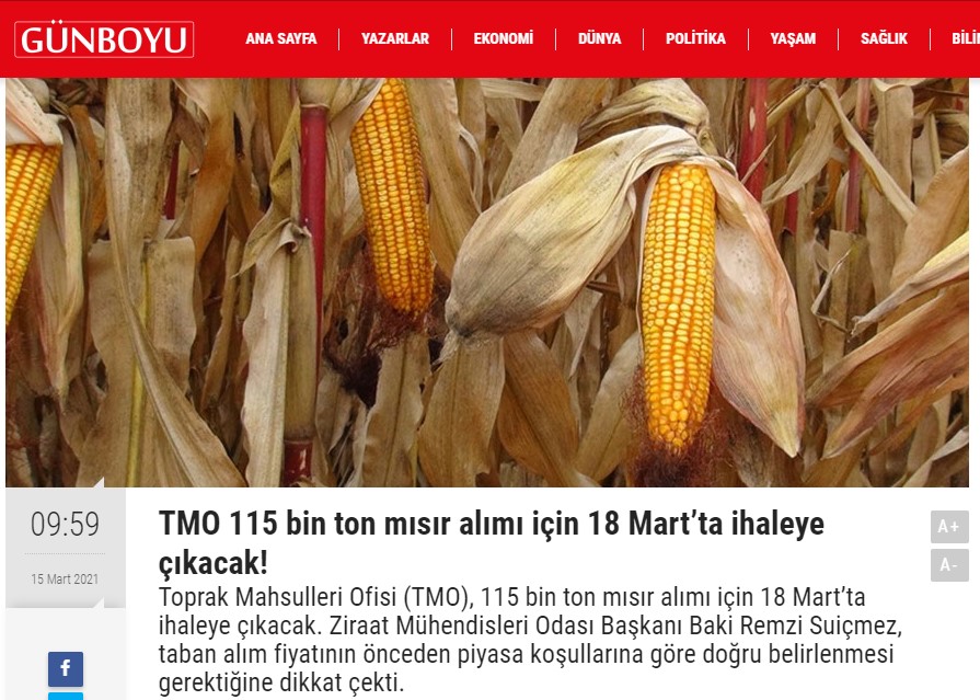 GÜNBOYU GAZETESİ: TMO 115 BİN TON MISIR ALIMI İÇİN 18 MART'TA İHALEYE ÇIKACAK! - 15 MART 2021