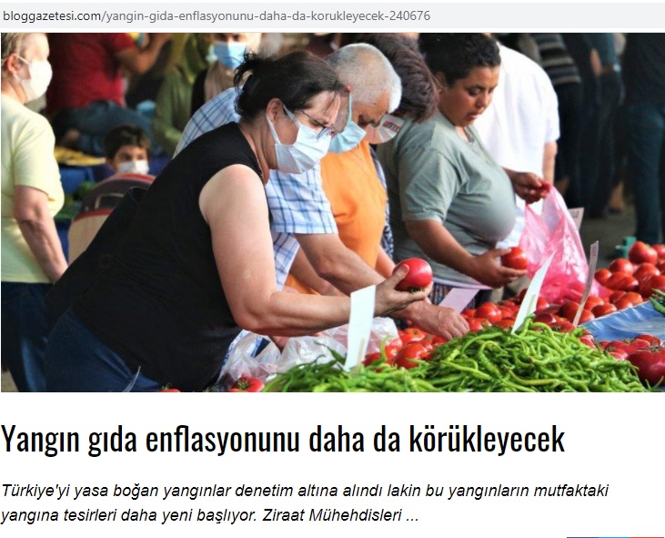BLOG GAZETESİ: YANGIN GIDA ENFLASYONUNU DAHA DA KÖRÜKLEYECEK- 10 AĞUSTOS 2021