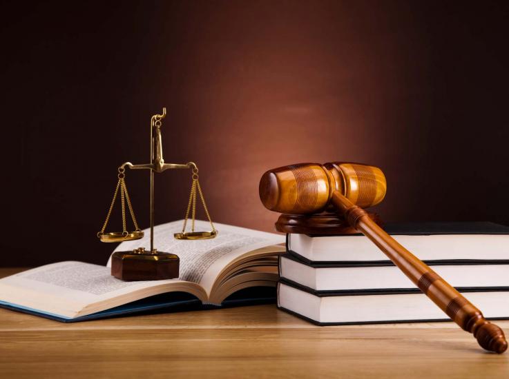 KORUNAN ALANLARIN TESPİT, TESCİL VE ONAYINA İLİŞKİN USUL VE ESASLARA DAİR YÖNETMELİKTE YÜRÜTMENİN DURDURULMASI KARARI VERİLDİ