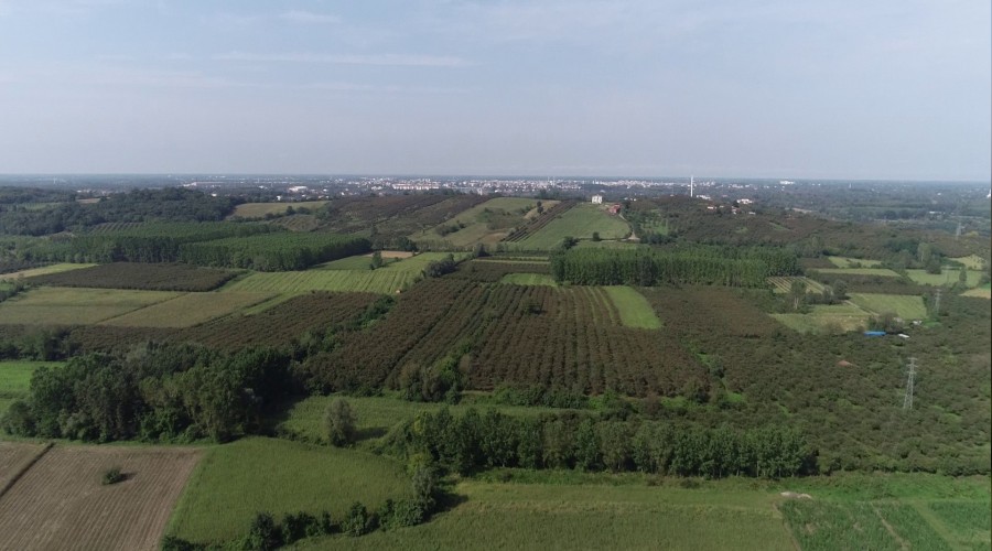 SAMSUN-ÇARŞAMBA BİYOKÜTLE ENERJİ SANTRALI "ÇED GEREKLİ DEĞİLDİR KARARI" İKİNCİ KEZ İPTAL EDİLDİ.