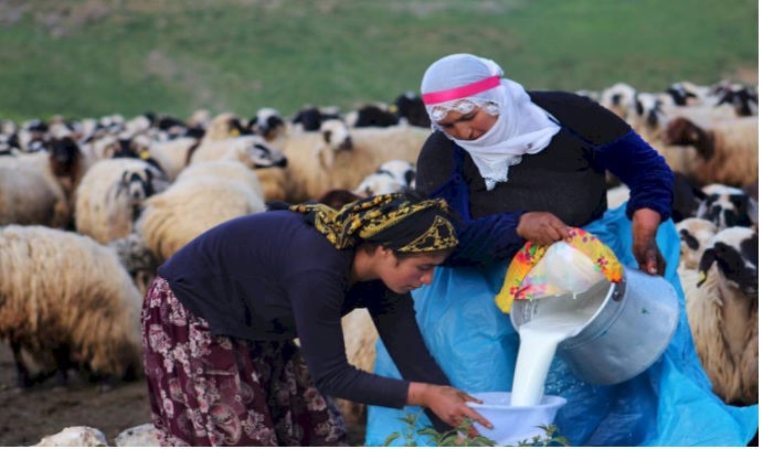 ULAK NEWS: 15 EKİM DÜNYA KADIN ÇİFTÇİLER GÜNÜ'NÜ KUTLAYAMIYORUZ!'- 15 EKİM 2021