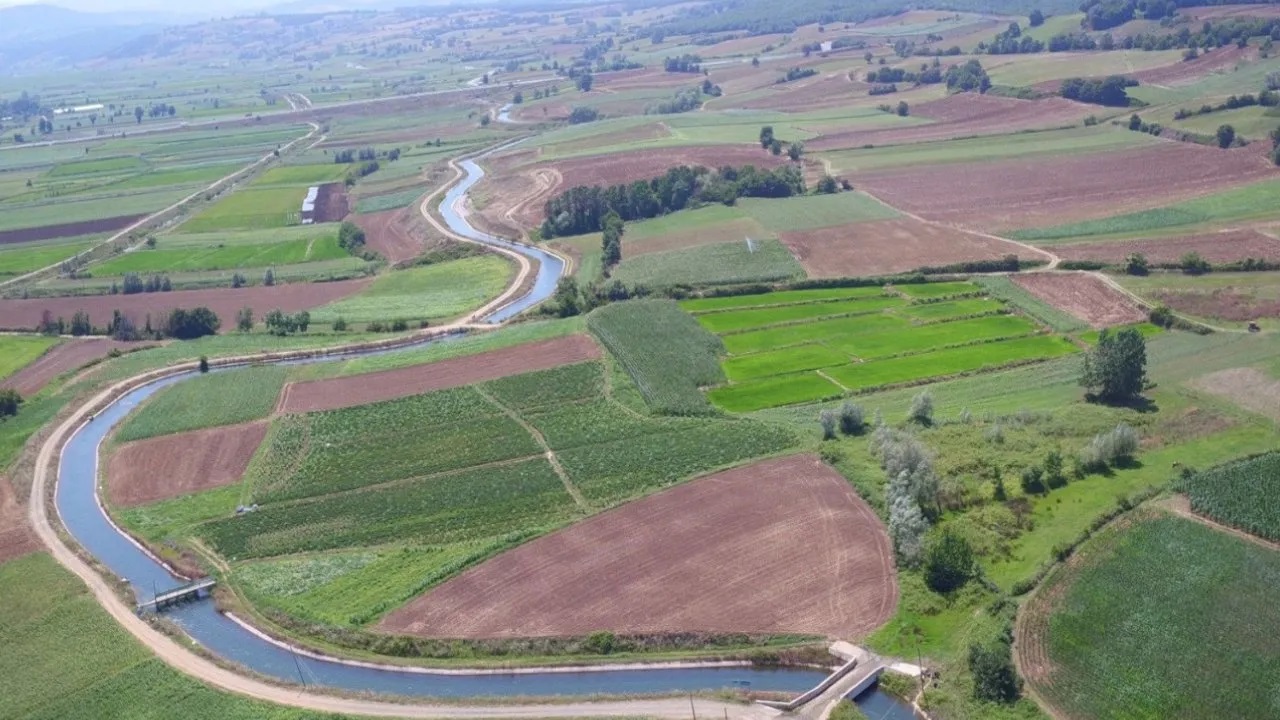 SAMSUN BAFRA'DA TARIM ALANI AMACI DIŞI KULLANILMAYACAK