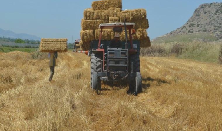 WDM NEWS (WORLD DIGITAL MEDİA): İKTİDAR BUĞDAYA MALİYET KADAR FİYAT ÖNEREREK ÜRETİCİYİ ÇIKMAZA SOKTU- 7 HAZİRAN 2022