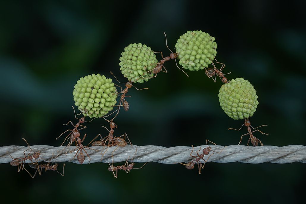 BİYOSİDAL ÜRÜN UYGULAYICI PERSONEL EĞİTİMİMİZ 24-25-26 AĞUSTOS 2022 TARİHLERİNDE DÜZENLENECEKTİR 