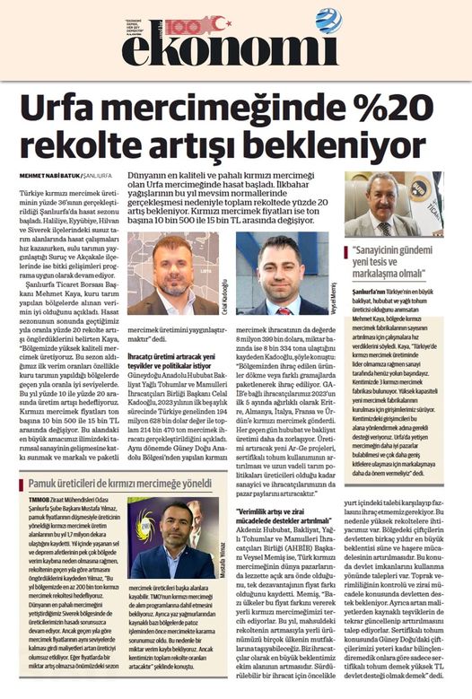 EKONOMİM GAZETESİ: PAMUK ÜRETİCİLERİ DE KIRMIZI MERCİMEĞE YÖNELDİ - 14 HAZİRAN 2023