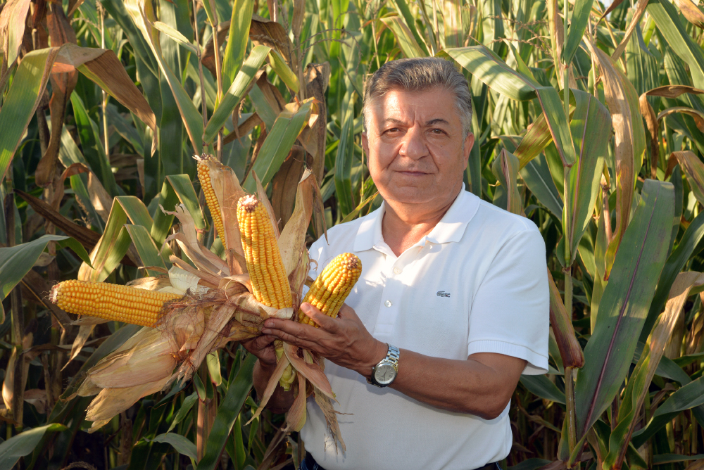 KORKUT: MISIR FİYATI EN AZ 9,4 TL/KG OLMALI