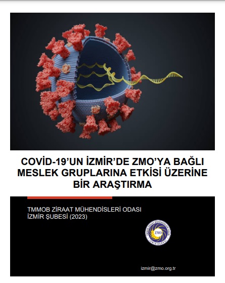 COVİD-19'UN İZMİR'DE ZMO'YA BAĞLI MESLEK GRUPLARINA ETKİSİ ÜZERİNE BİR ARAŞTIRMA