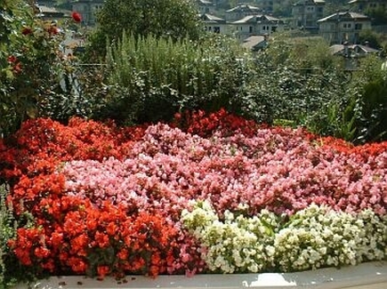 PMO'NUN, ZİRAAT MÜHENDİSLERİNİN PEYZAJ VE ÇEVRE DÜZENLEME KONUSUNDAKİ YETKİLERİNE KARŞI AÇTIĞI DAVA, DANIŞTAY TARAFINDAN REDDEDİLDİ