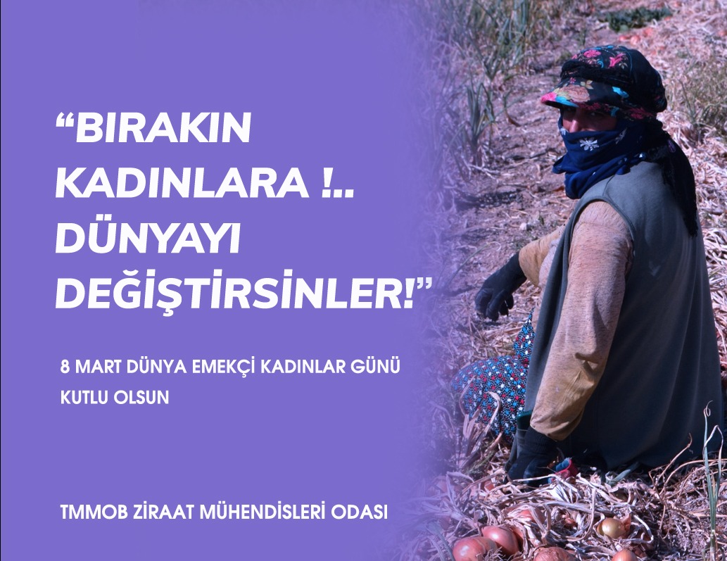 8 MART DÜNYA EMEKÇİ KADINLAR GÜNÜ!...

TAM DA ŞİMDİ, SÖZLERİMİZİ YAŞAMA GEÇİRME ZAMANIDIR.