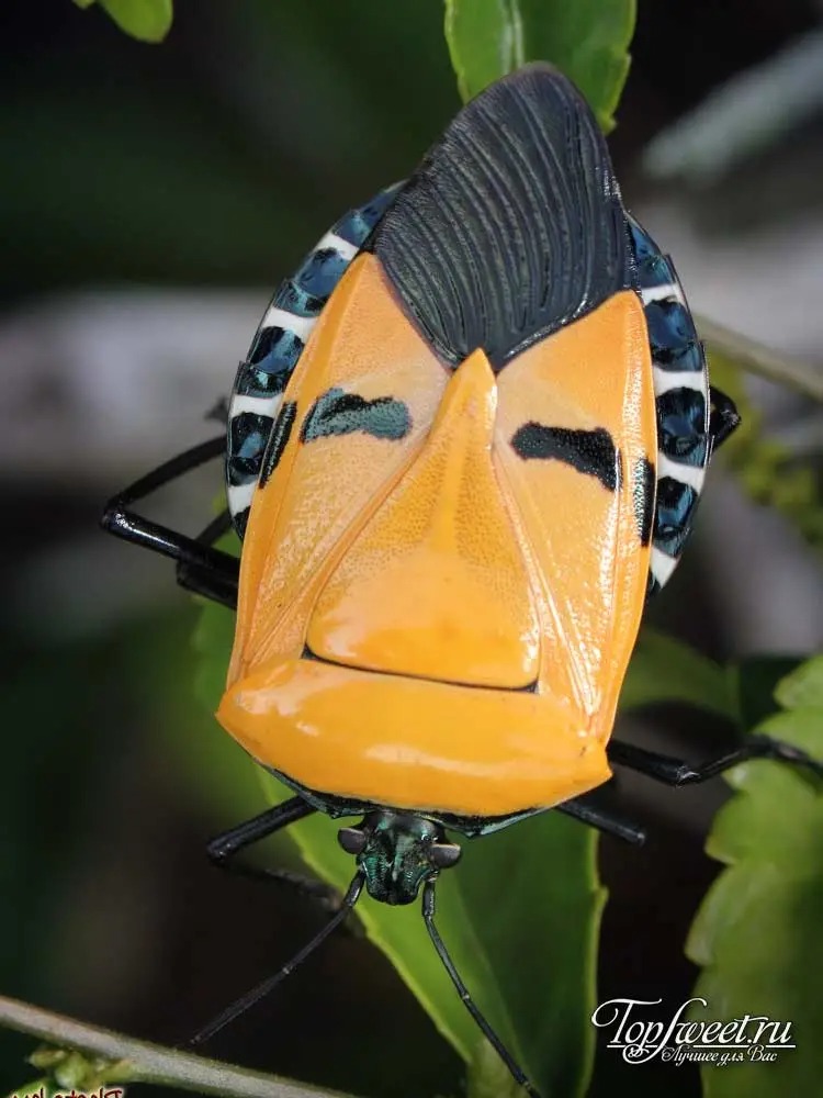 BİYOSİDAL ÜRÜN UYGULAYICI PERSONEL EĞİTİMİMİZ 24-25-26 NİSAN 2024 TARİHLERİNDE DÜZENLENECEKTİR