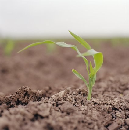 TOPRAK SES VERİYOR - 15.01.2004