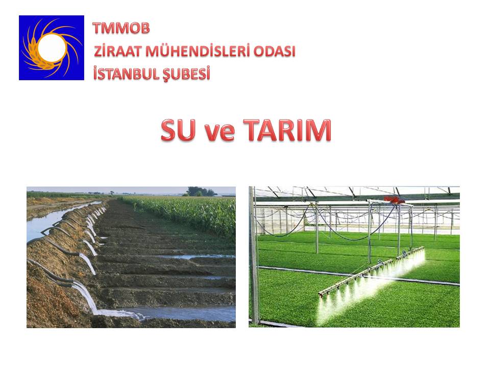 5. DÜNYA SU FORUMUNA HAZIRLIK TOPLANTISI