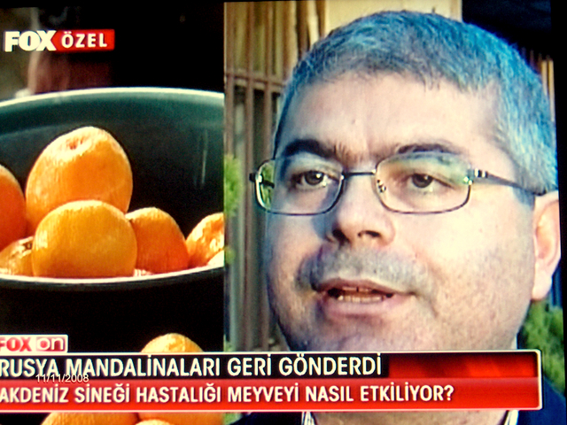 FOX TV HABER