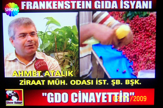 SHOW TV VE STAR TV ANA HABER
