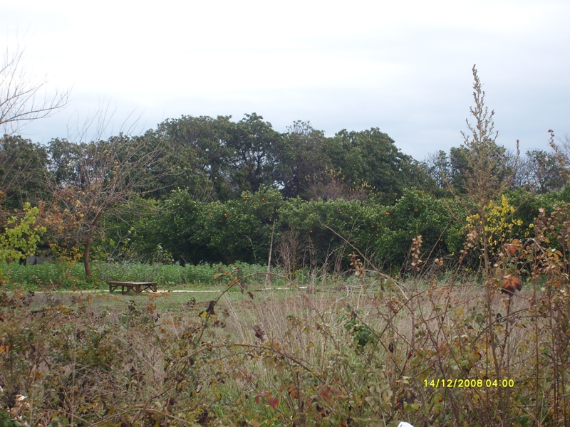 I. SINIF TARIM TOPRAKLARININ TARIM DIŞI AMAÇLA KULLANILMASINA YARGI 'DUR' DEDİ