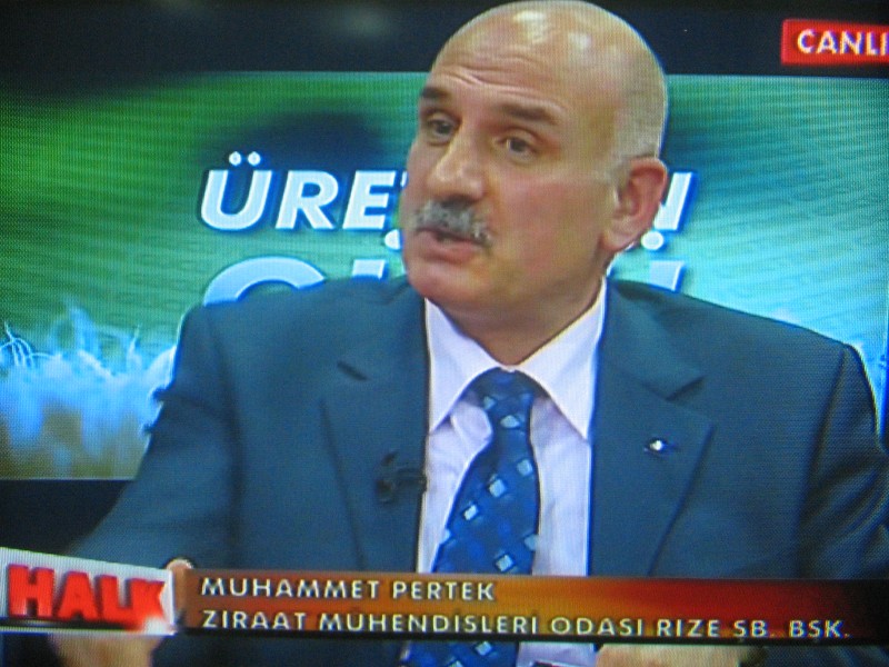HALK TV