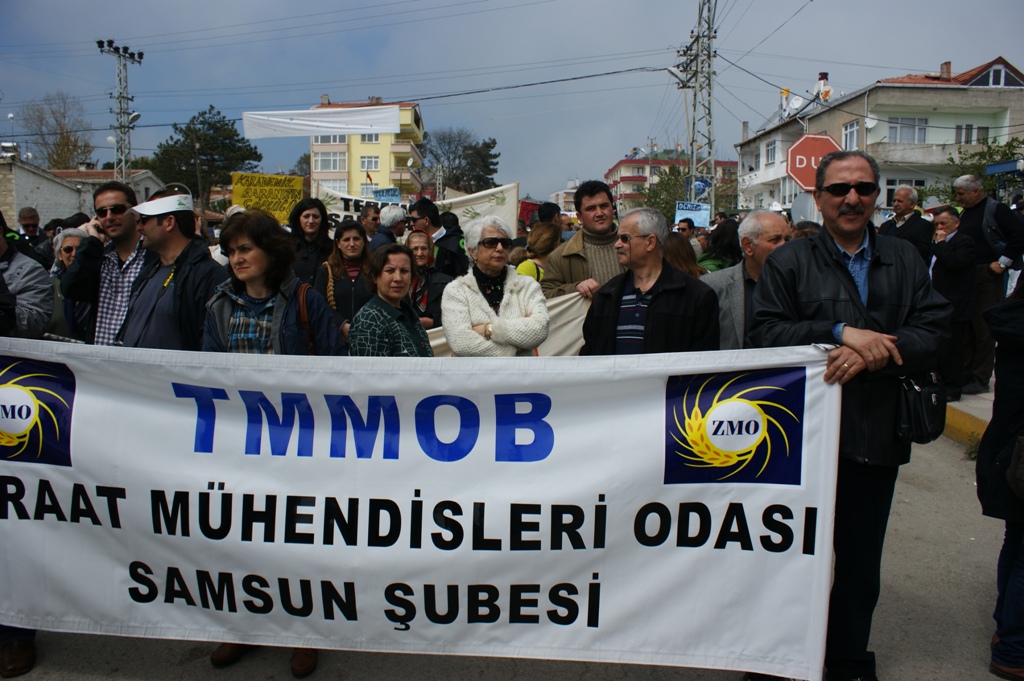 GERZE TERMİK SANTRALE HAYIR MİTİNGİ