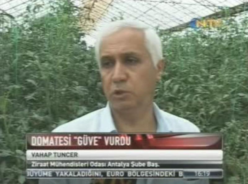 ŞUBE BAŞKANIMIZ NTV'DE "TUTA ABSOLUTA TEHLİKESİ"