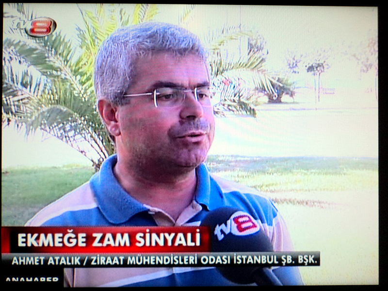 TV 8 YAYINI