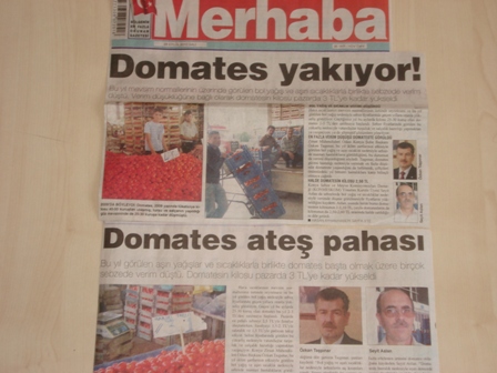 “DOMATES YAKIYOR!” MERHABA 