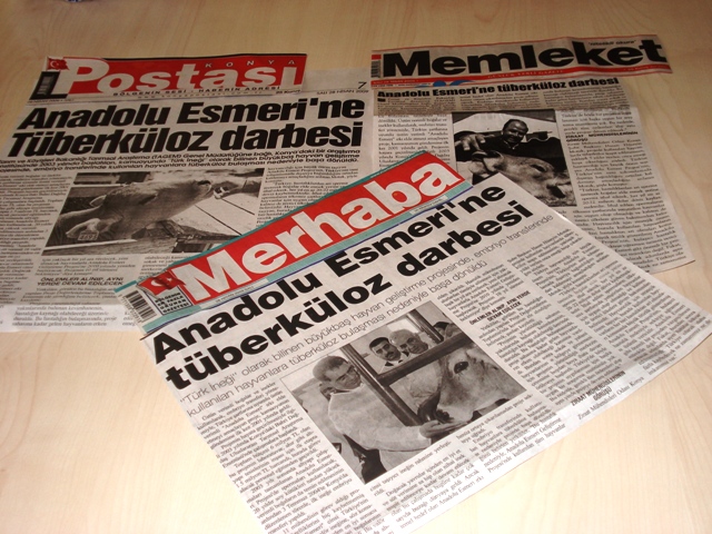 “ANADOLU ESMERİ'NE TÜBERKÜLOZ DARBESİ” MERHABA GAZETESİ-MEMLEKET GAZETESİ-KONYA POSTASI GAZETESİ 