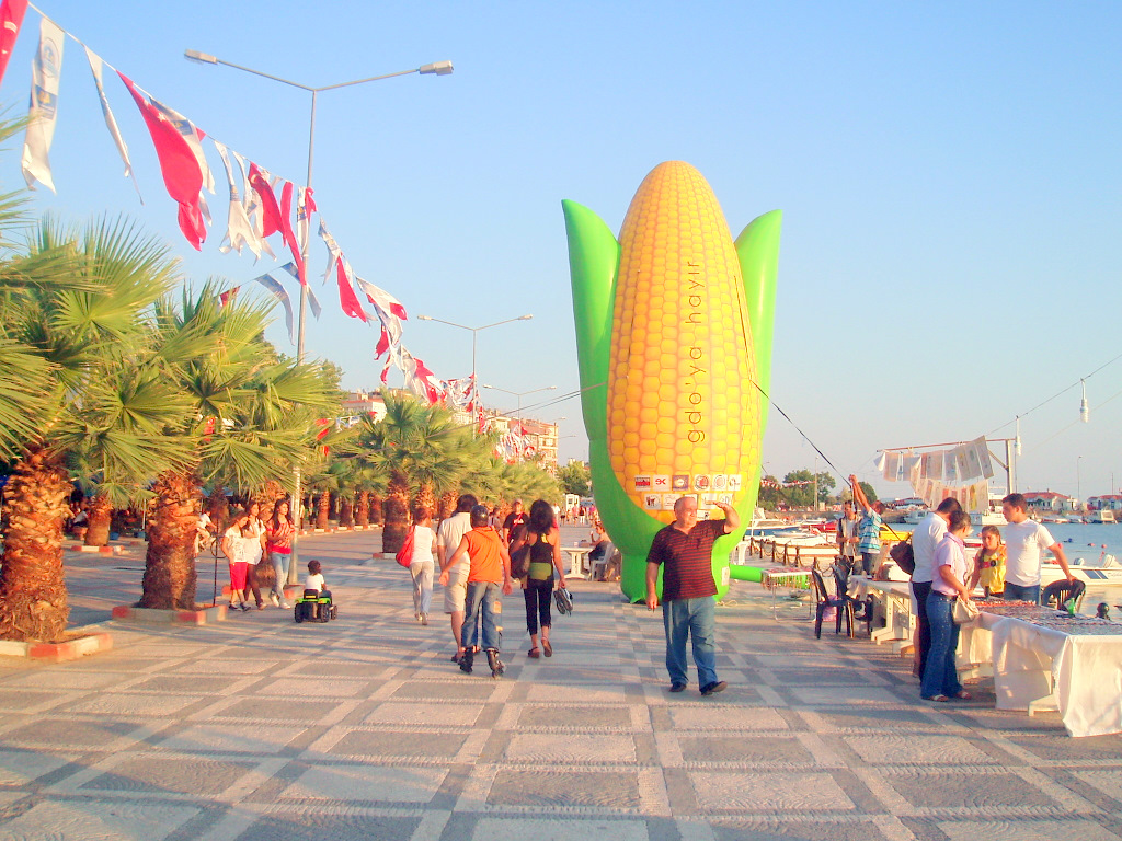 GDO'YA HAYIR PLATFORMU SİLİVRİ'DE HALKI BİLGİLENDİRDİ