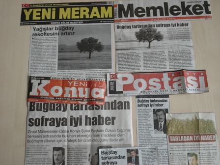 “BUĞDAY TARLASINDAN SOFRAYA İYİ HABER”-MERHABA-KONYA POSTASI-MEMLEKET-YENİ KONYA, “YAĞIŞLAR BUĞDAY REKOLTESİNİ ARTIRIR”-YENİMERAM 

