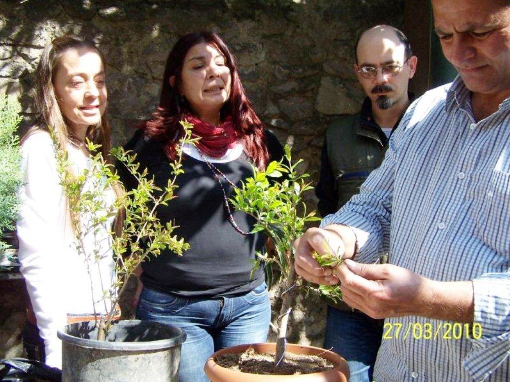 UYGULAMALI BONSAİ ATÖLYE EĞİTİMİ