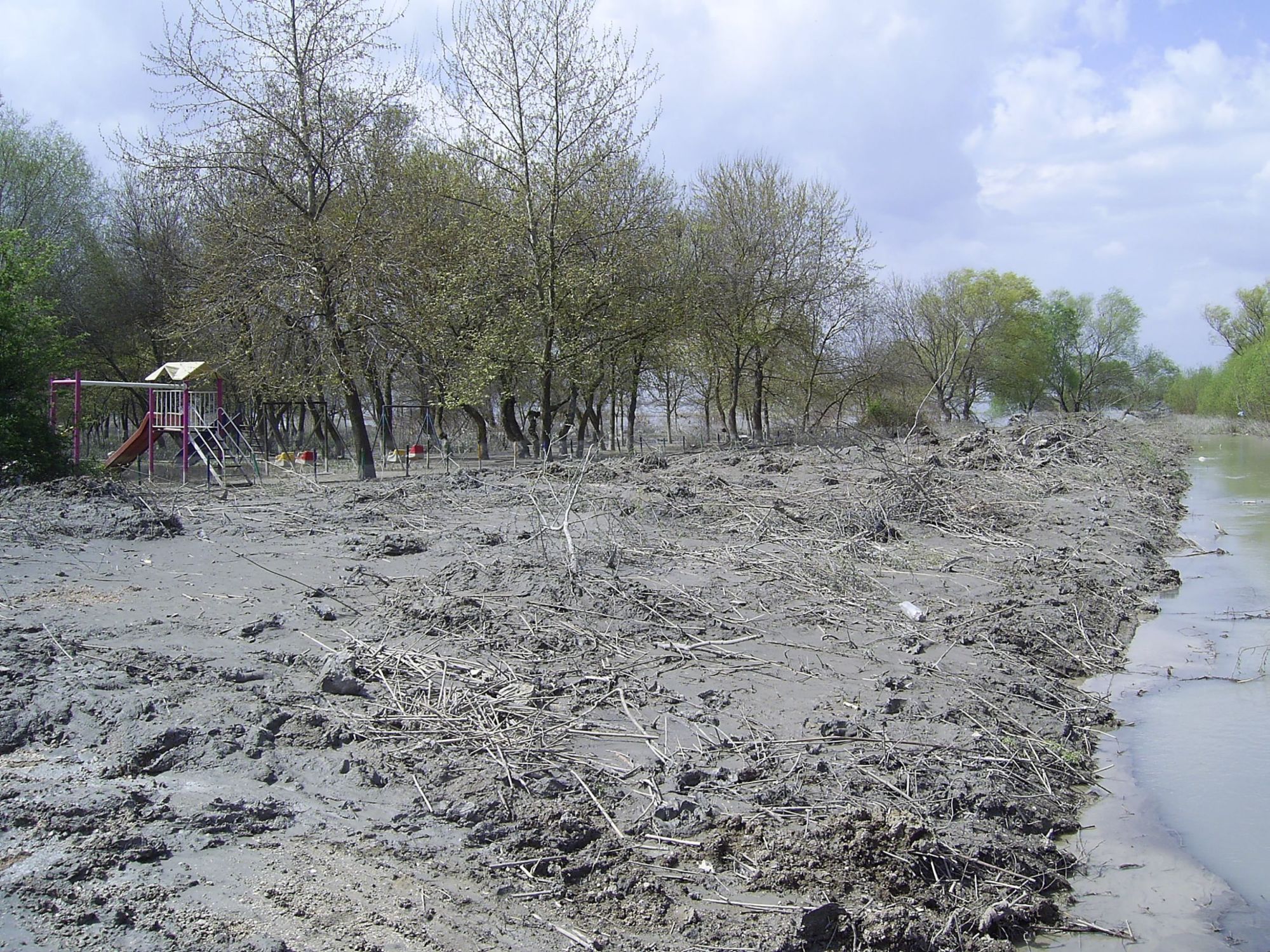 DEDELER BÖLGESİNDEKİ ÇEVRE FELAKETİ  İLE İLGİLİ BASIN AÇIKLAMASI 
