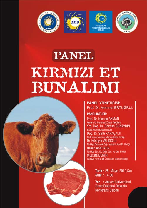 PANEL: KIRMIZI ET BUNALIMI