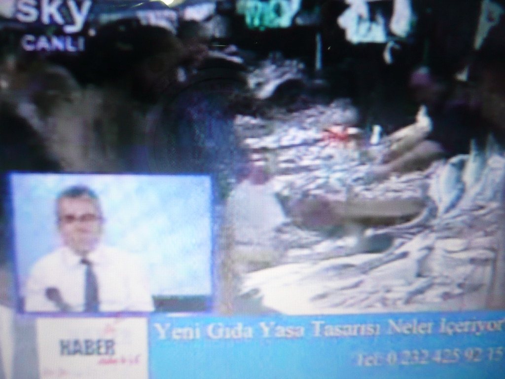 SKY TV HABERAKTİF