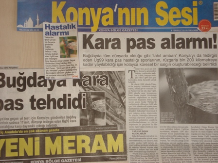 “BUĞDAY’DA KARA PAS TEHDİDİ”-KONYA’NIN SESİ, “KARA PAS ALARMI!”-YENİ MERAM