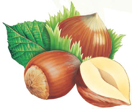 PANEL: FINDIĞIN DÜNÜ, BUGÜNÜ, YARINI