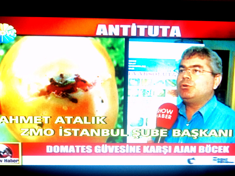SHOW TV YAYINI
