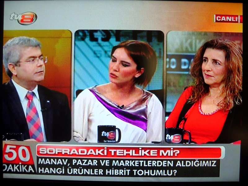 TV 8 YAYINI