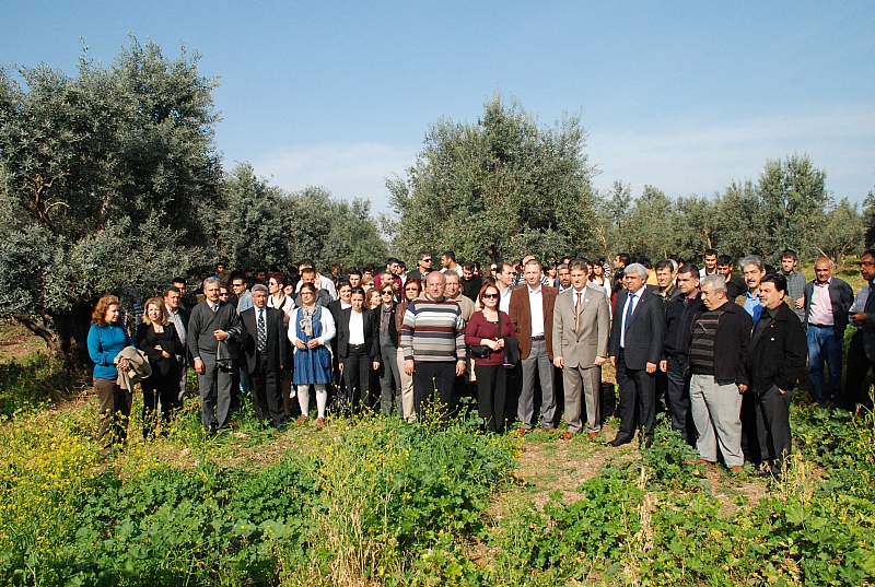 Ç.Ü. ZEYTİN GEN MERKEZİ’NİN YAPILAŞMAYA AÇILMASINA YARGI DUR DEDİ 