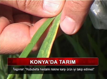 KON TV “ANA HABER BÜLTENİ” 