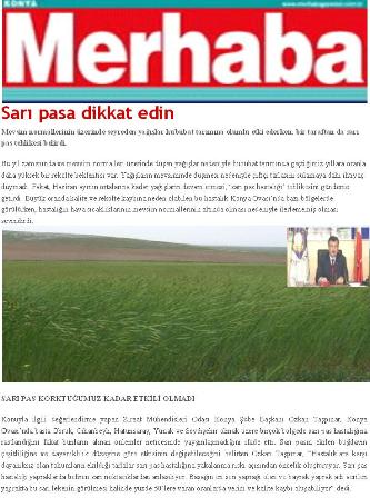“SARI PASA DİKKAT EDİN”-MERHABA