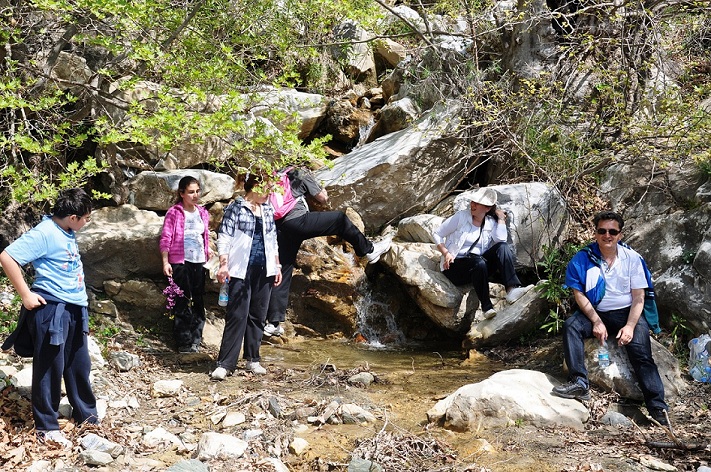 DOĞA YÜRÜYÜŞÜ