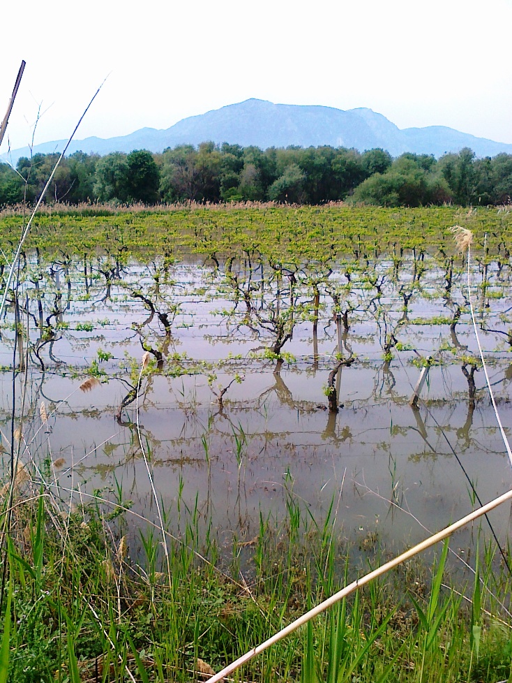 SU TAŞKINLARI İLE İLGİLİ BASIN AÇIKLAMASI