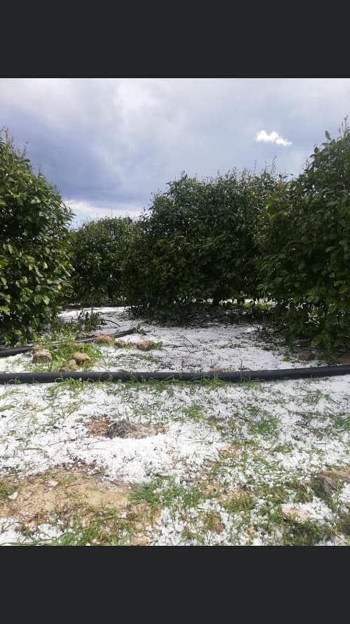 DOLU YAĞIŞI NEDENİ İLE ZARAR GÖREN ÇİFTÇİLERİMİZ
