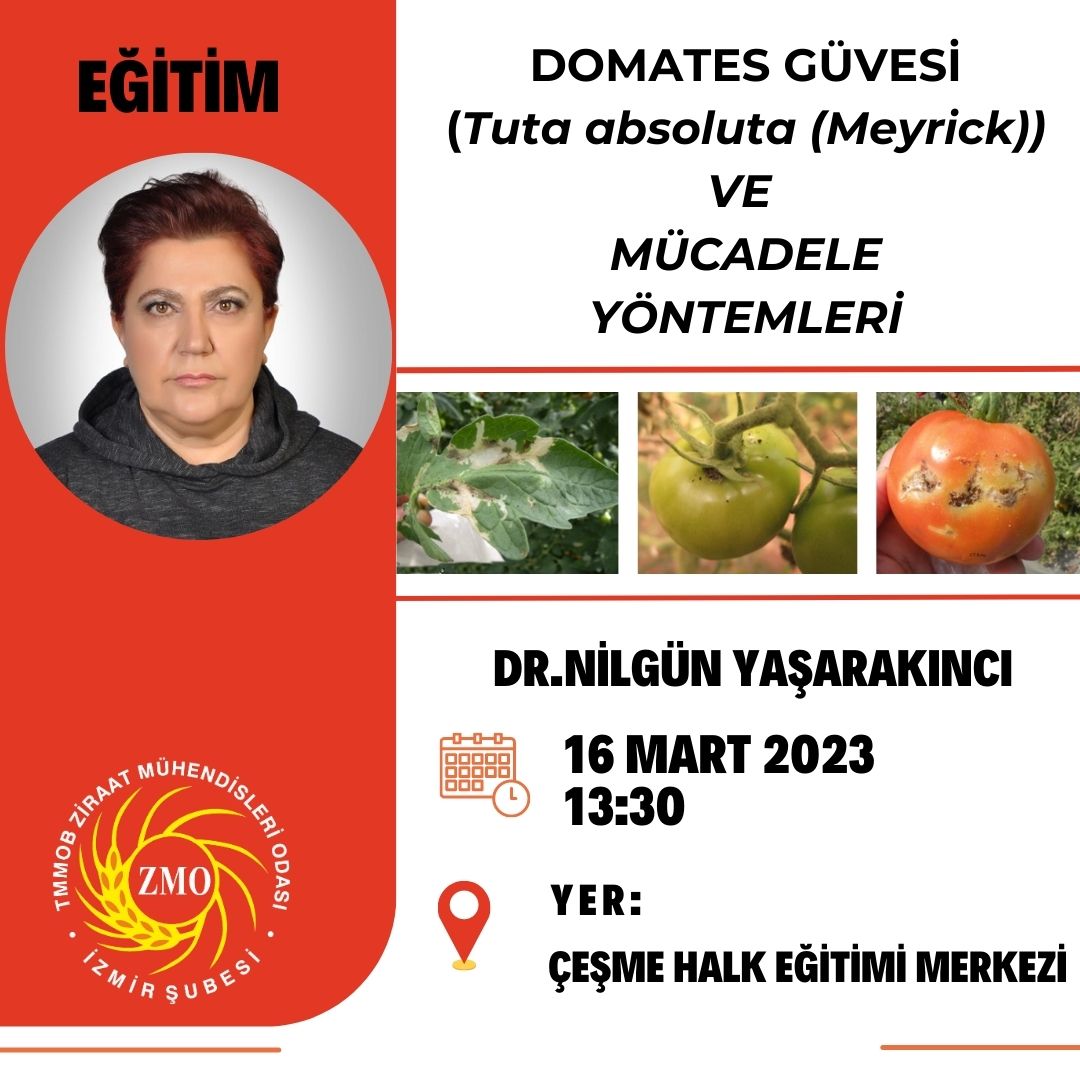 DOMATES GÜVESİ VE MÜCADELE YÖNTEMLERİ