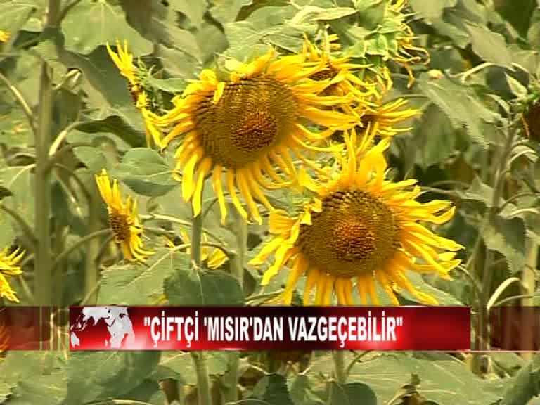 ŞUBE BAŞKANIMIZ KANAL A’YA KONUŞTU