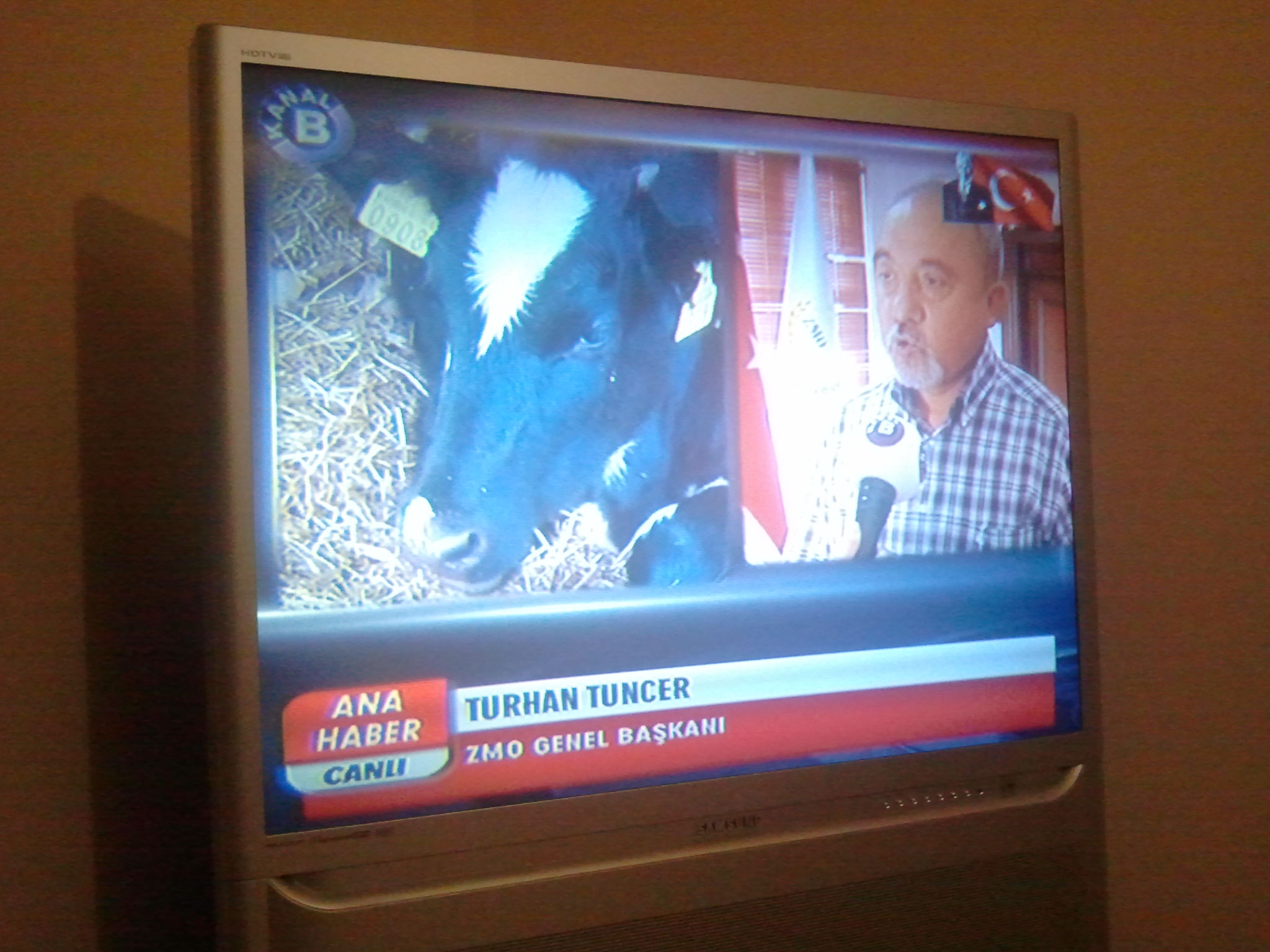 KANAL B YAYINI 